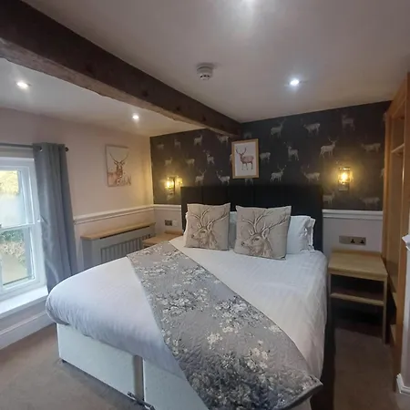 אורחן Fox And Pheasant