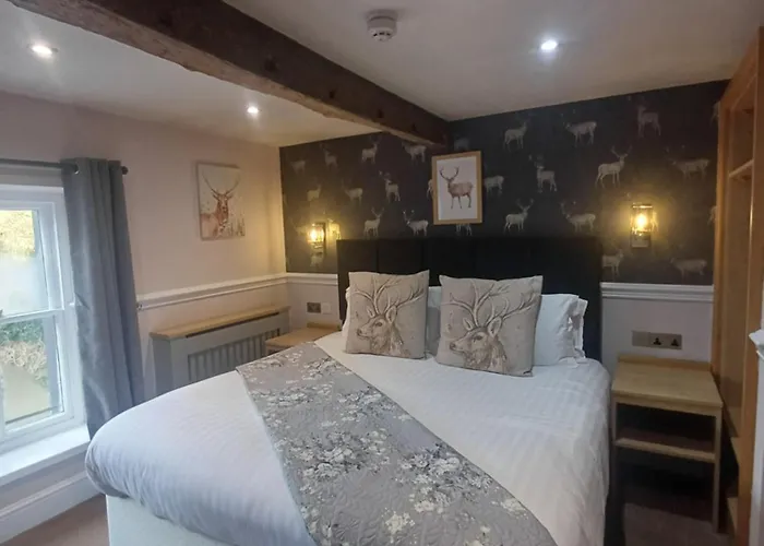 אורחן Fox And Pheasant